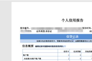 個人互聯(lián)網(wǎng)服務(wù) 周末查詢征信與利用工具實(shí)現(xiàn)信用自由指南
