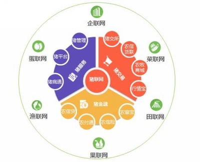 平安互聯(lián)網(wǎng)創(chuàng)建項(xiàng)目 打造安全、便捷、高效的個人互聯(lián)網(wǎng)服務(wù)新生態(tài)